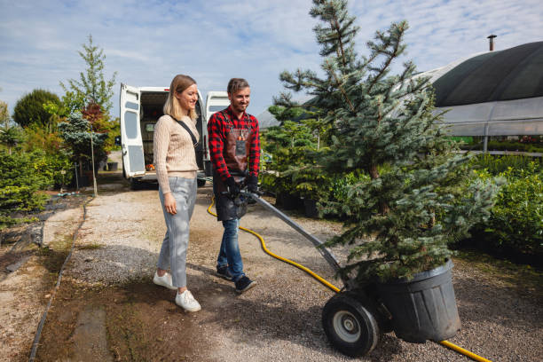 Mulching Services in Powell, WY